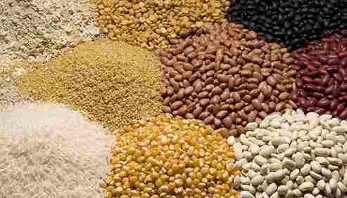 food-grains